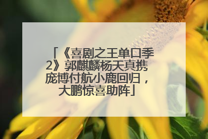 《喜剧之王单口季2》郭麒麟杨天真携庞博付航小鹿回归，大鹏惊喜助阵