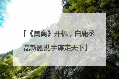 《莫离》开机，白鹿丞磊新剧携手谋定天下