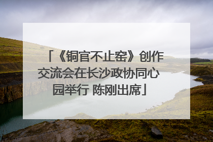 《铜官不止窑》创作交流会在长沙政协同心园举行 陈刚出席