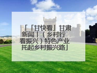 「甘快看」甘肃新闻丨（乡村行 看振兴）特色产业托起乡村振兴路