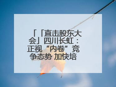 「直击股东大会」四川长虹：正视“内卷”竞争态势 加快培育发展新动能