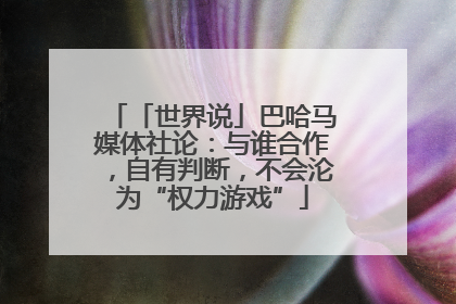 「世界说」巴哈马媒体社论：与谁合作，自有判断，不会沦为“权力游戏”