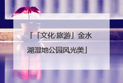 「文化·旅游」金水湖湿地公园风光美