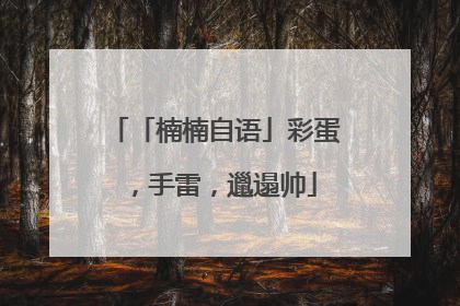 「楠楠自语」彩蛋，手雷，邋遢帅