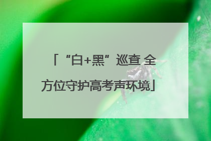 “白+黑”巡查 全方位守护高考声环境