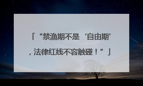 “禁渔期不是‘自由期’，法律红线不容触碰！”