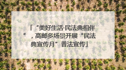 “美好生活·民法典相伴”，高邮多场景开展“民法典宣传月”普法宣传