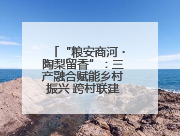 “粮安商河・陶梨留香”：三产融合赋能乡村振兴 跨村联建绘就共富画卷
