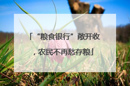 “粮食银行”敞开收，农民不再愁存粮