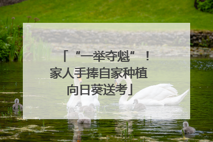 “一举夺魁”！家人手捧自家种植向日葵送考