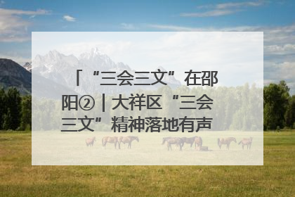 “三会三文”在邵阳②｜大祥区“三会三文”精神落地有声 以实干实绩助力区域高质量发展