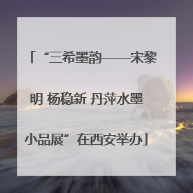 “三希墨韵——宋黎明 杨稳新 丹萍水墨小品展”在西安举办