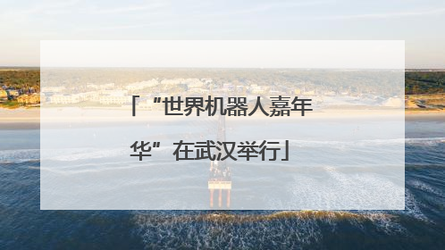 “世界机器人嘉年华”在武汉举行