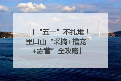 “五一”不扎堆！里口山“采摘+撸宠+露营”全攻略