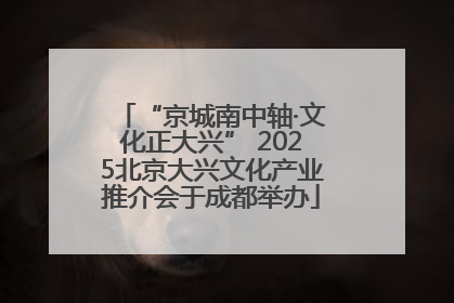 “京城南中轴·文化正大兴” 2025北京大兴文化产业推介会于成都举办
