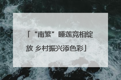 “南繁”睡莲竞相绽放 乡村振兴添色彩