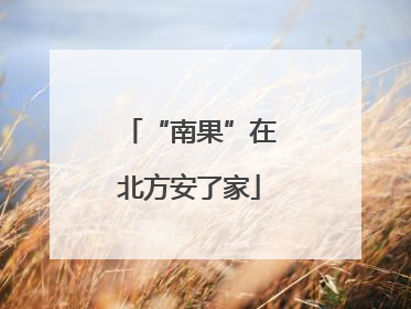 “南果”在北方安了家