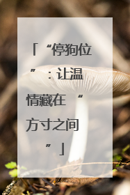 “停狗位 ”：让温情藏在 “方寸之间 ”
