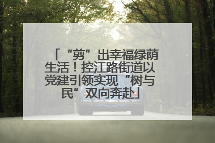 “剪”出幸福绿荫生活！控江路街道以党建引领实现“树与民”双向奔赴