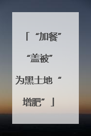 “加餐”“盖被” 为黑土地“增肥”
