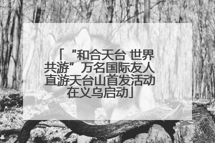 “和合天台 世界共游”万名国际友人直游天台山首发活动在义乌启动