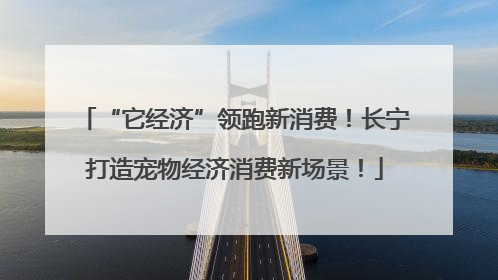 “它经济”领跑新消费！长宁打造宠物经济消费新场景！