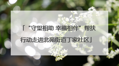 “守望相助 幸福相伴”帮扶行动走进北苑街道丁家社区