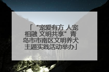 “宠爱有方 人宠相融 文明共享”青岛市市南区文明养犬主题实践活动举办