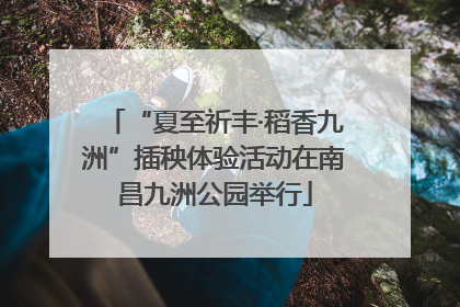 “夏至祈丰·稻香九洲”插秧体验活动在南昌九洲公园举行