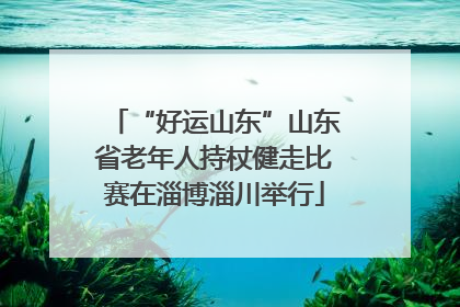 “好运山东”山东省老年人持杖健走比赛在淄博淄川举行
