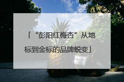 “彭阳红梅杏”从地标到金标的品牌蜕变
