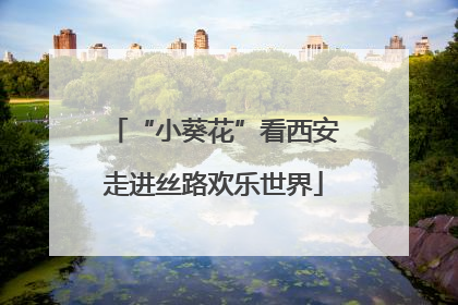 “小葵花”看西安走进丝路欢乐世界