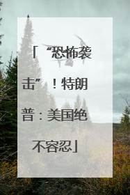 “恐怖袭击”！特朗普：美国绝不容忍
