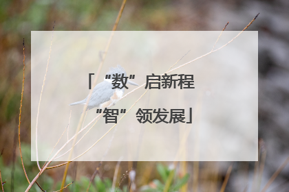 “数”启新程 “智”领发展