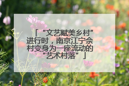 “文艺赋美乡村”进行时，南京江宁佘村变身为一座流动的“艺术村落”