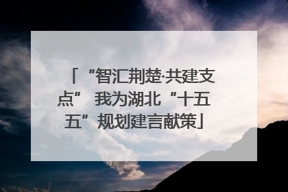 “智汇荆楚·共建支点” 我为湖北“十五五”规划建言献策