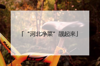 “河北净菜”靓起来