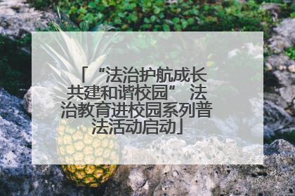 “法治护航成长 共建和谐校园” 法治教育进校园系列普法活动启动