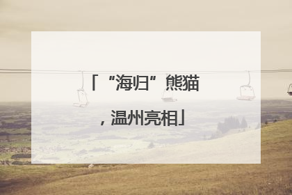 “海归”熊猫，温州亮相