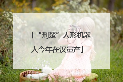 “荆楚”人形机器人今年在汉量产