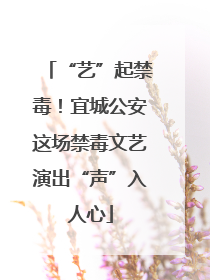 “艺”起禁毒！宜城公安这场禁毒文艺演出“声”入人心