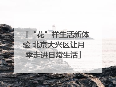 “花”样生活新体验 北京大兴区让月季走进日常生活