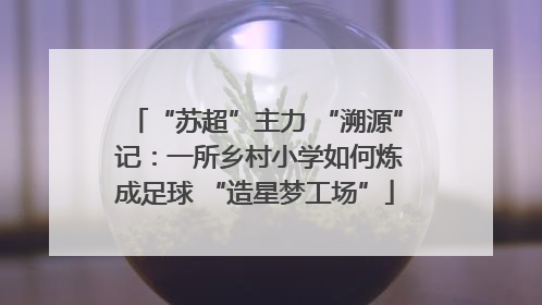“苏超”主力 “溯源” 记：一所乡村小学如何炼成足球 “造星梦工场”