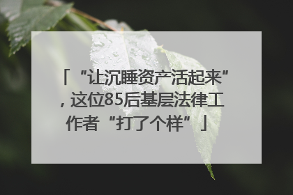 “让沉睡资产活起来”，这位85后基层法律工作者“打了个样”