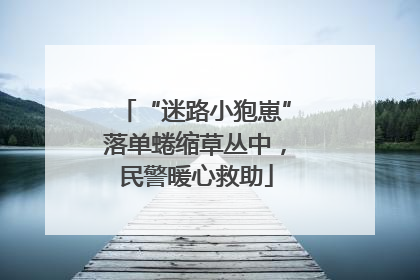 “迷路小狍崽”落单蜷缩草丛中，民警暖心救助