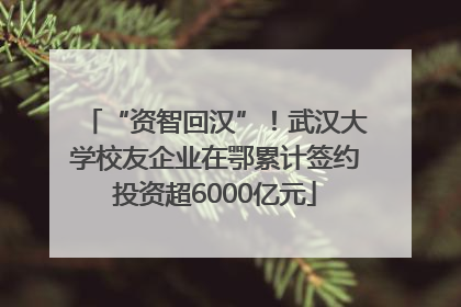 “资智回汉”！武汉大学校友企业在鄂累计签约投资超6000亿元