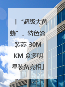“超级大黄蜂”、特色涂装苏-30MKM 众多明星装备亮相