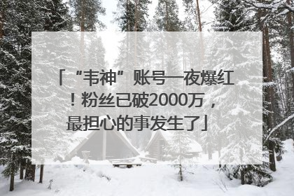 “韦神”账号一夜爆红！粉丝已破2000万，最担心的事发生了