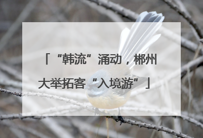“韩流”涌动，郴州大举拓客“入境游”