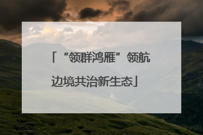“领群鸿雁”领航边境共治新生态
